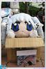 FF18_Paintcar_00005.jpg
