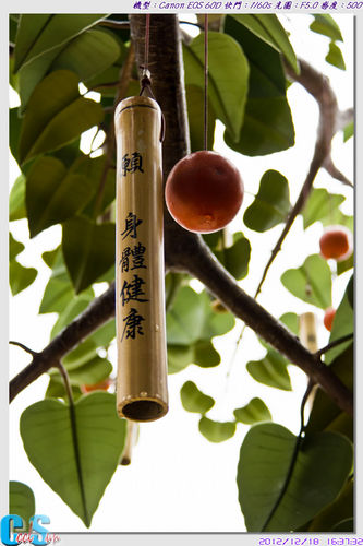 按一下觀賞整張相片